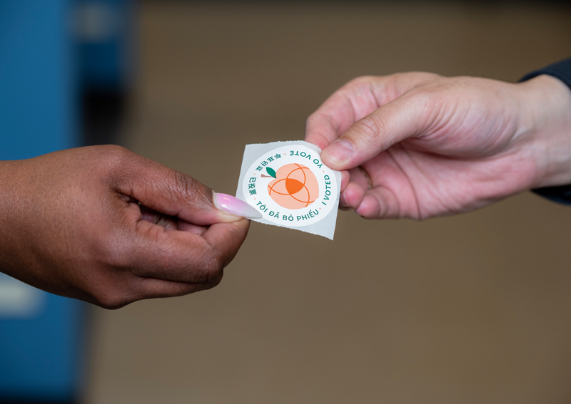 Georgia voting sticker