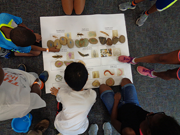 children learning about water resource protection