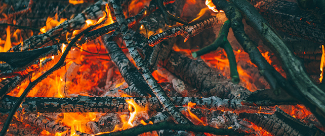 Annual outdoor burn ban now in place