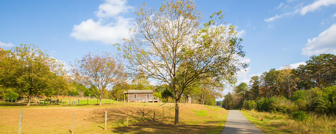 Free things to do this weekend in Gwinnett