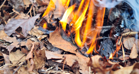 Image of burning leaves.
