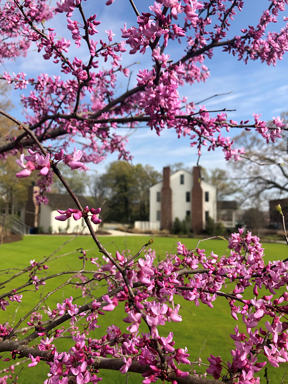 Isaac Adair House Wedding Venue Rental