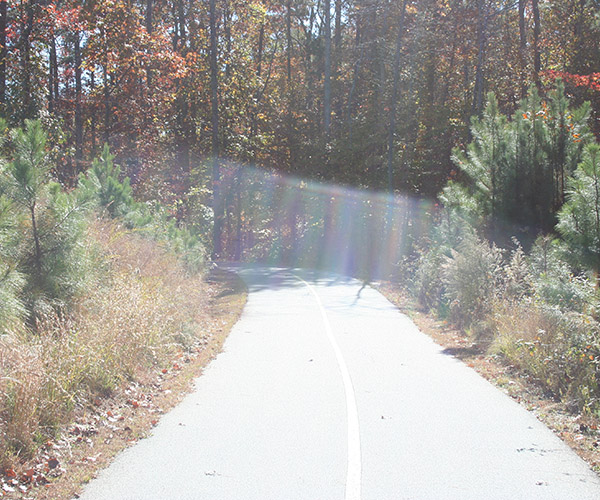 Peachtree Ridge Park