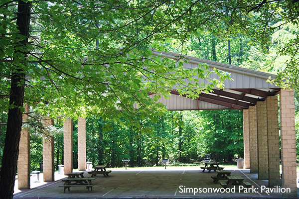Simpsonwood Park