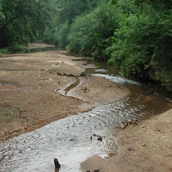 stream embankment