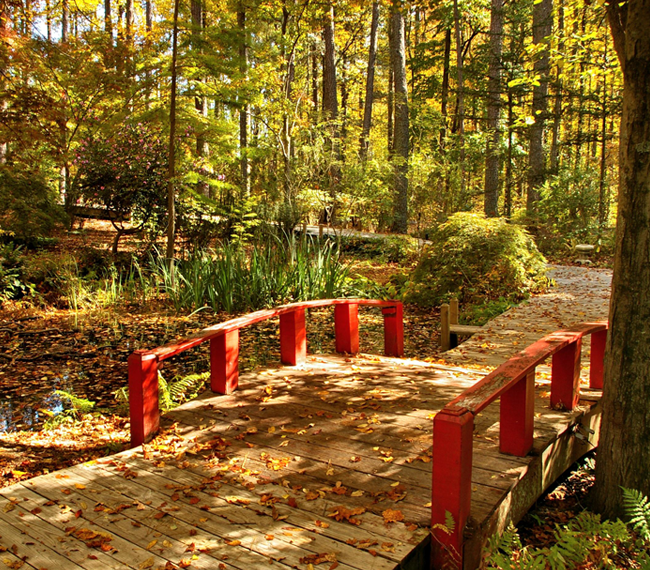 Three things to do this weekend in Gwinnett