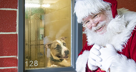 Brunch with SantaPaws!