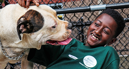 Sign up for Animal Ambassador Camp this June with split sessions for ages 7 – 14.