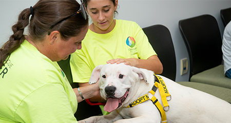 Volunteer with us!