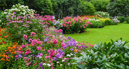 In the Garden<br>Free virtual series<br>December 19 | All ages<br>Organic Pest Control