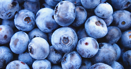 2026 Plant Sale Fundraiser <br>Preorders start January 2<br>Benefits Gwinnett 4-H and Master Gardener projects!