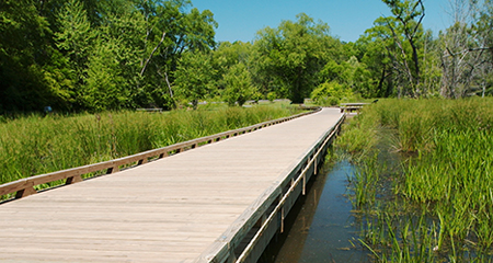 Explore Gwinnett's growing network of trails and greenways!