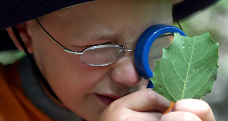 Have fun with a trail scavenger hunt to find Piedmont plants and animal tracks!
