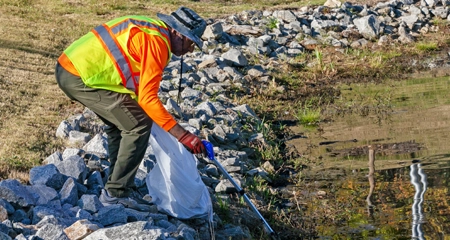 Get involved in a MLK Day of Service project!