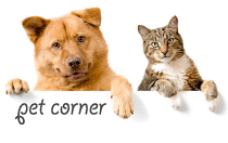 Pet Corner