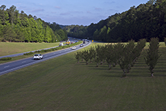 splost funds ronald reagan parkway project 