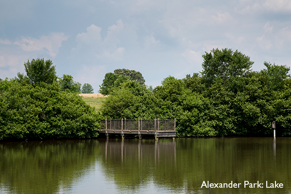 Alexander Park