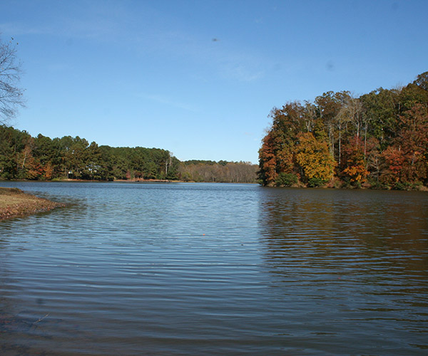 Collins Hill Park