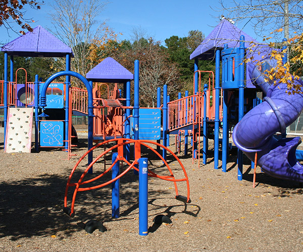 Collins Hill Park