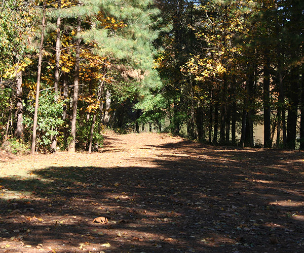 Collins Hill Park