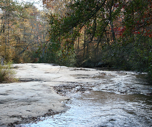 Harbins Park