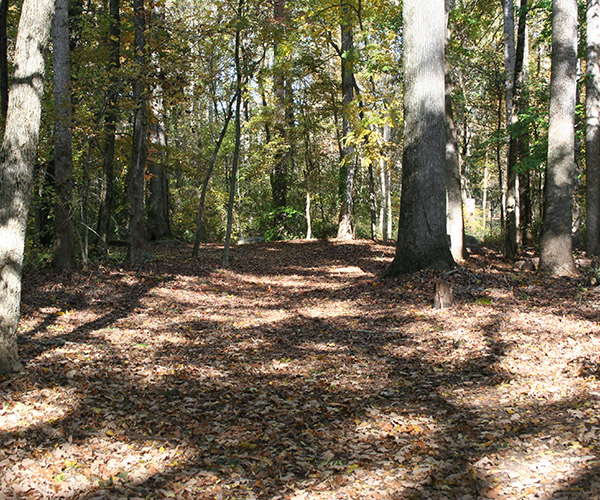 Holcomb Bridge Park
