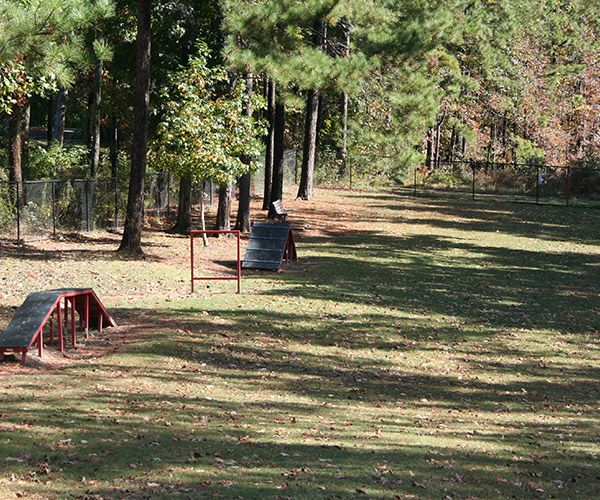 Pickneyville Park