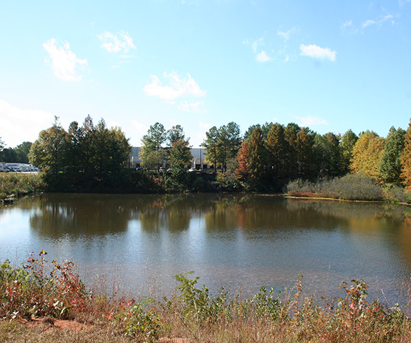 Pickneyville Park