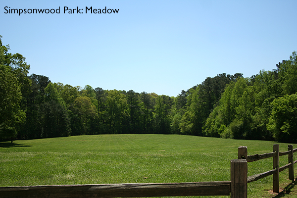 Simpsonwood Park