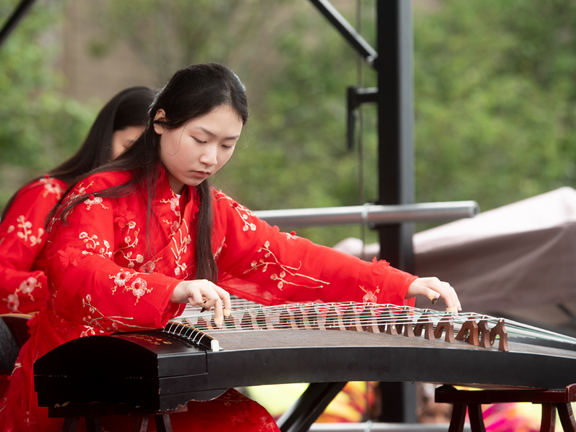 Multicultural Festival 2024
