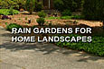 Rain Gardens For
Home Landscapes 