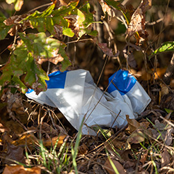 Sewer Waste