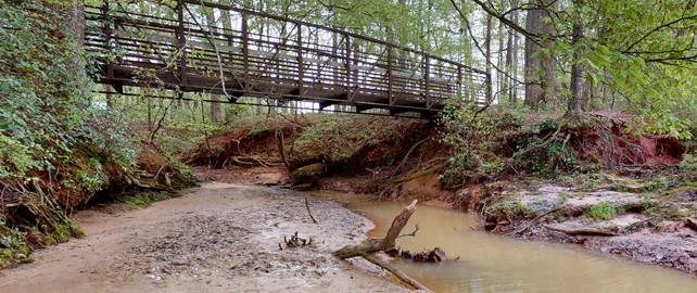 Image of Jones Bridge Park Stream and Bridge