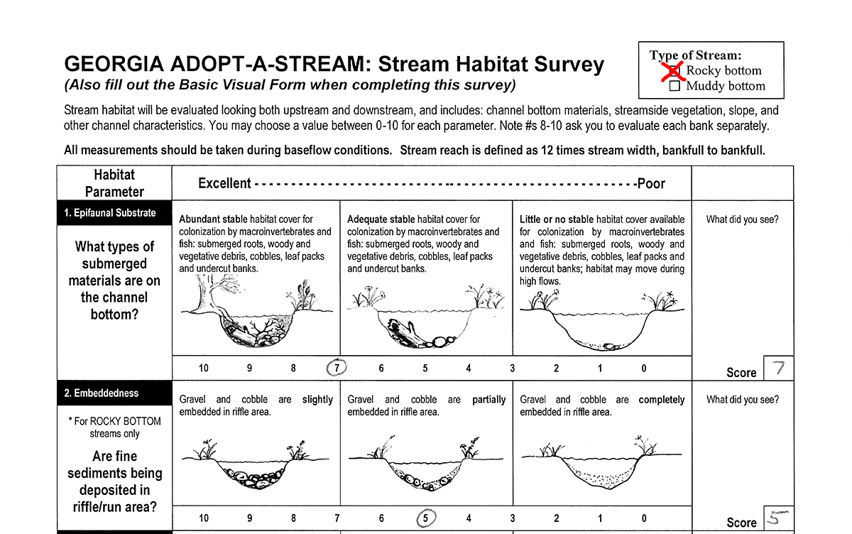 Image of top of Survey Document
