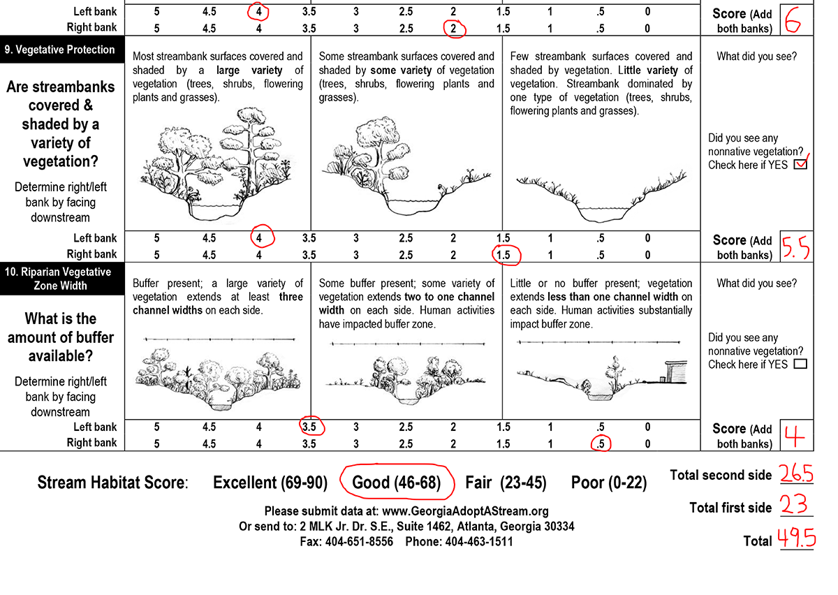Image of sample survey document