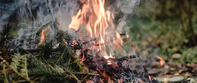 Summer outdoor burn ban now in place