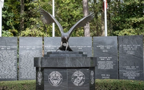 Celebrate Veterans Day in Gwinnett