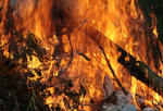 Open burn ban in place through September 30