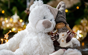 Fill the Sleigh Toy Drive