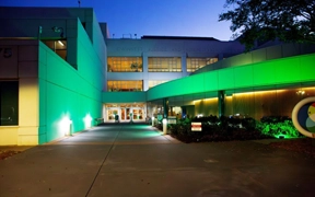 Gwinnett lights up green to honor Veterans