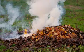 Georgia’s annual outdoor burning ban takes effect Thursday, May 1