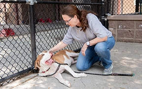 SPLOST: Upgrades coming to the Bill Atkinson Animal Welfare Center