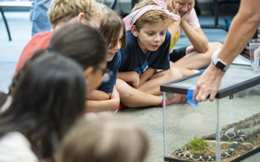 Three free things to do this weekend in Gwinnett