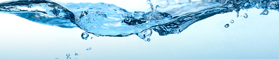 Gwinnett County Water Bill Pay